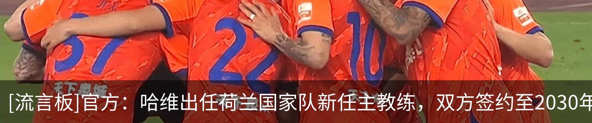 新闻动态